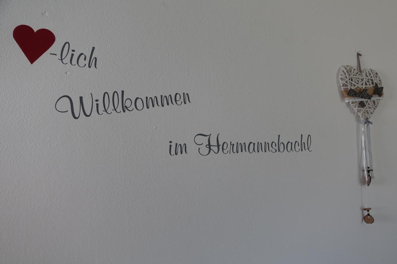 Am Hermannsbachl Bischofsmais Bagian luar foto